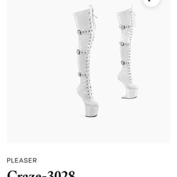 Pleaser Shoes Craze-3028