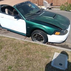 On none op gt mustang shall