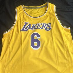 Lakers Jersey #6