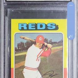 1975 Topps Mini Pete Rose #320 
