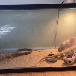 55 Gallon Tank With Led Covers
