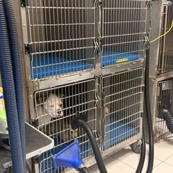 Kennels 