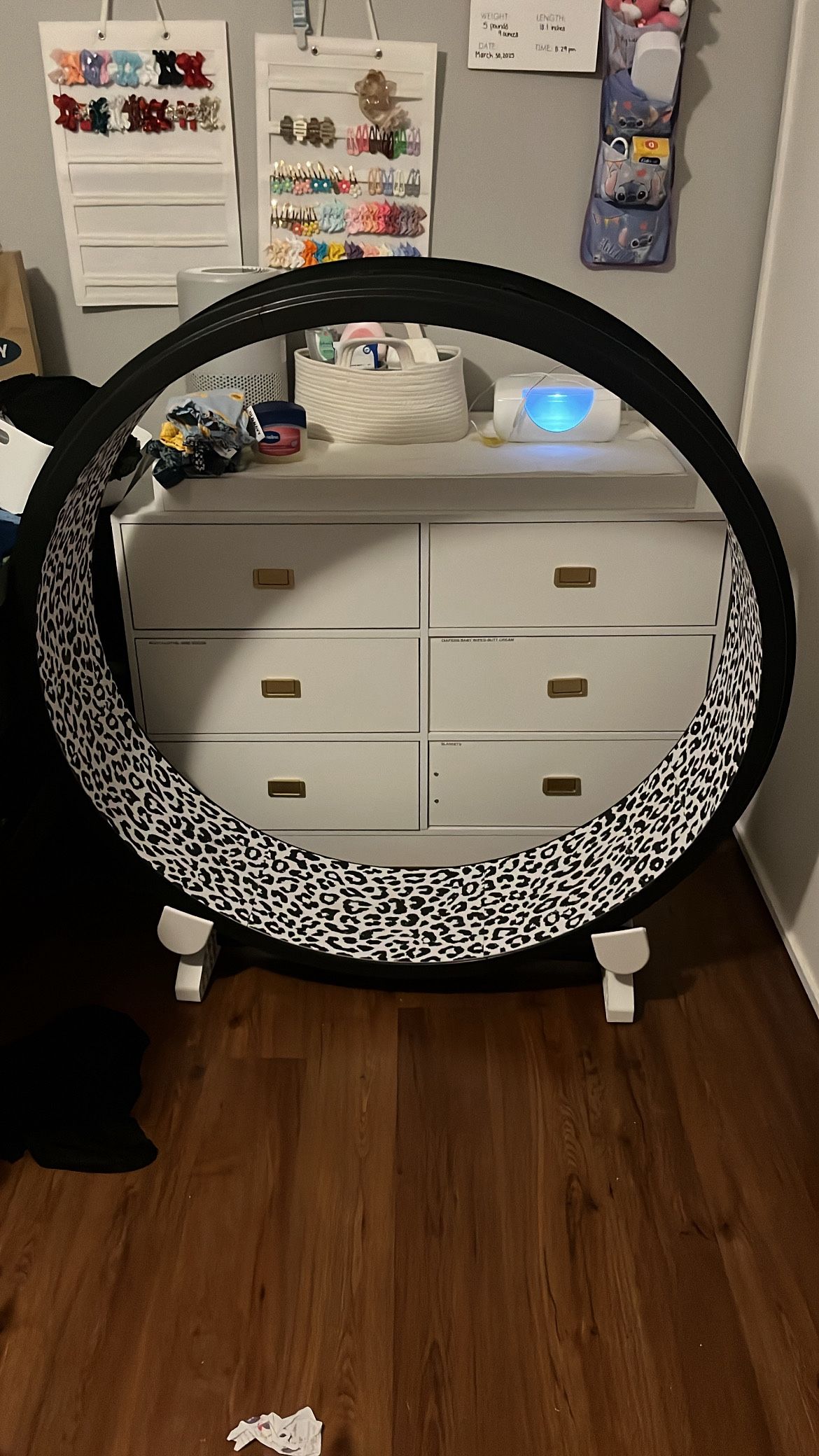 Cat Wheel