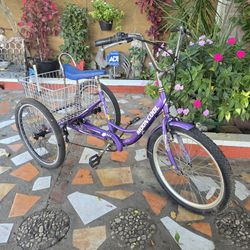 7-Speed Tricycle 