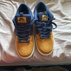 Nike Dunks Sb