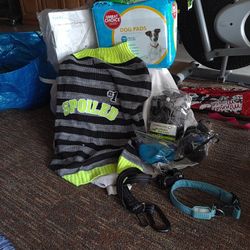 Dog Kit Training Collar Booties Pads Seat Belt Poop Bags
