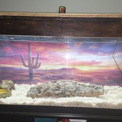 Reptile Enclosure With Supplies 