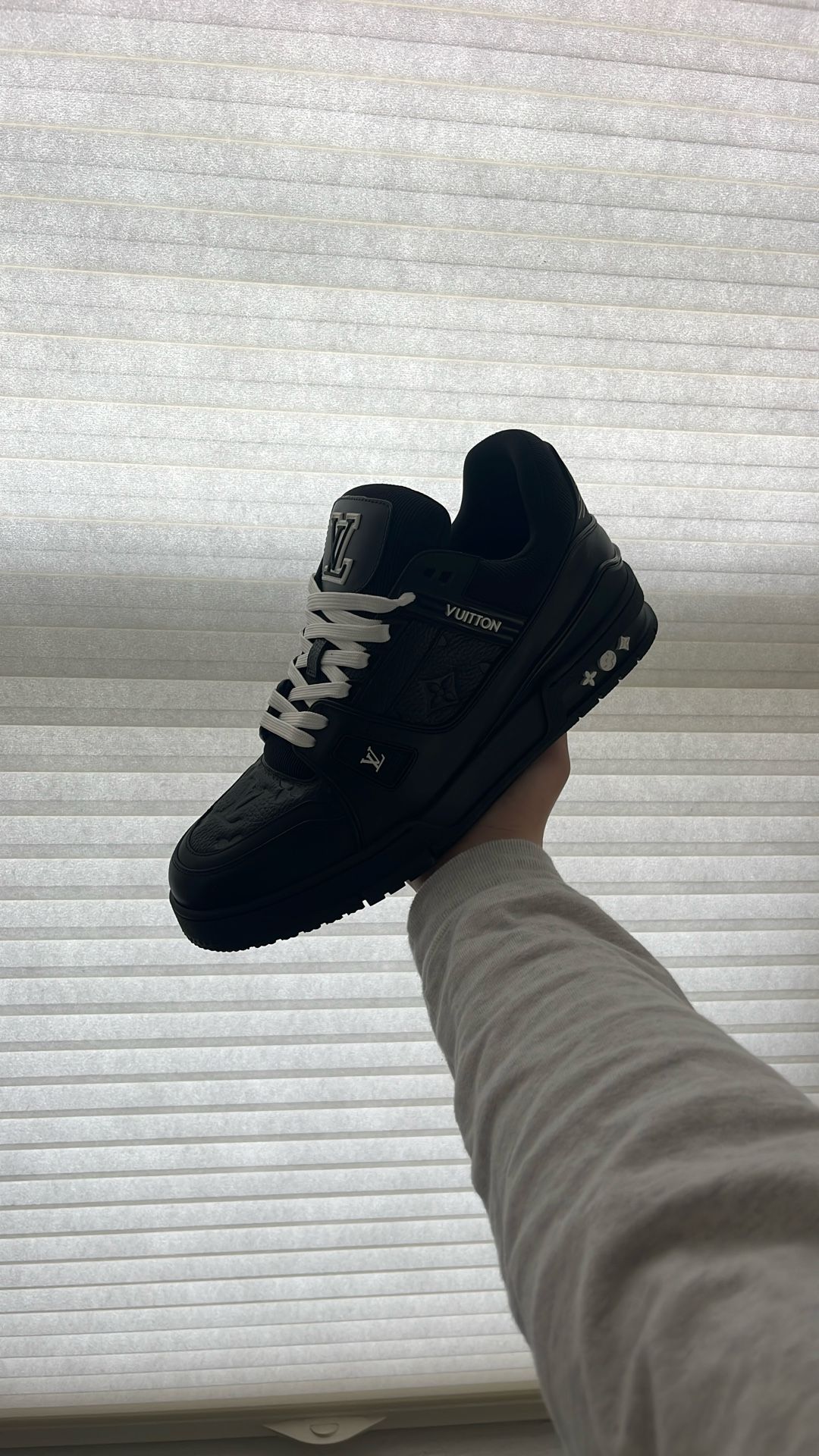 Louis Vuitton trainers