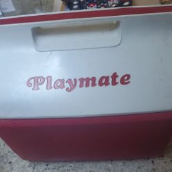 Playmate COOLER lockable lid