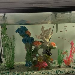 40 Gallon Fish Tank With Stand, With Filter And Heater