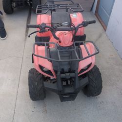 110 CC ATV (2014)