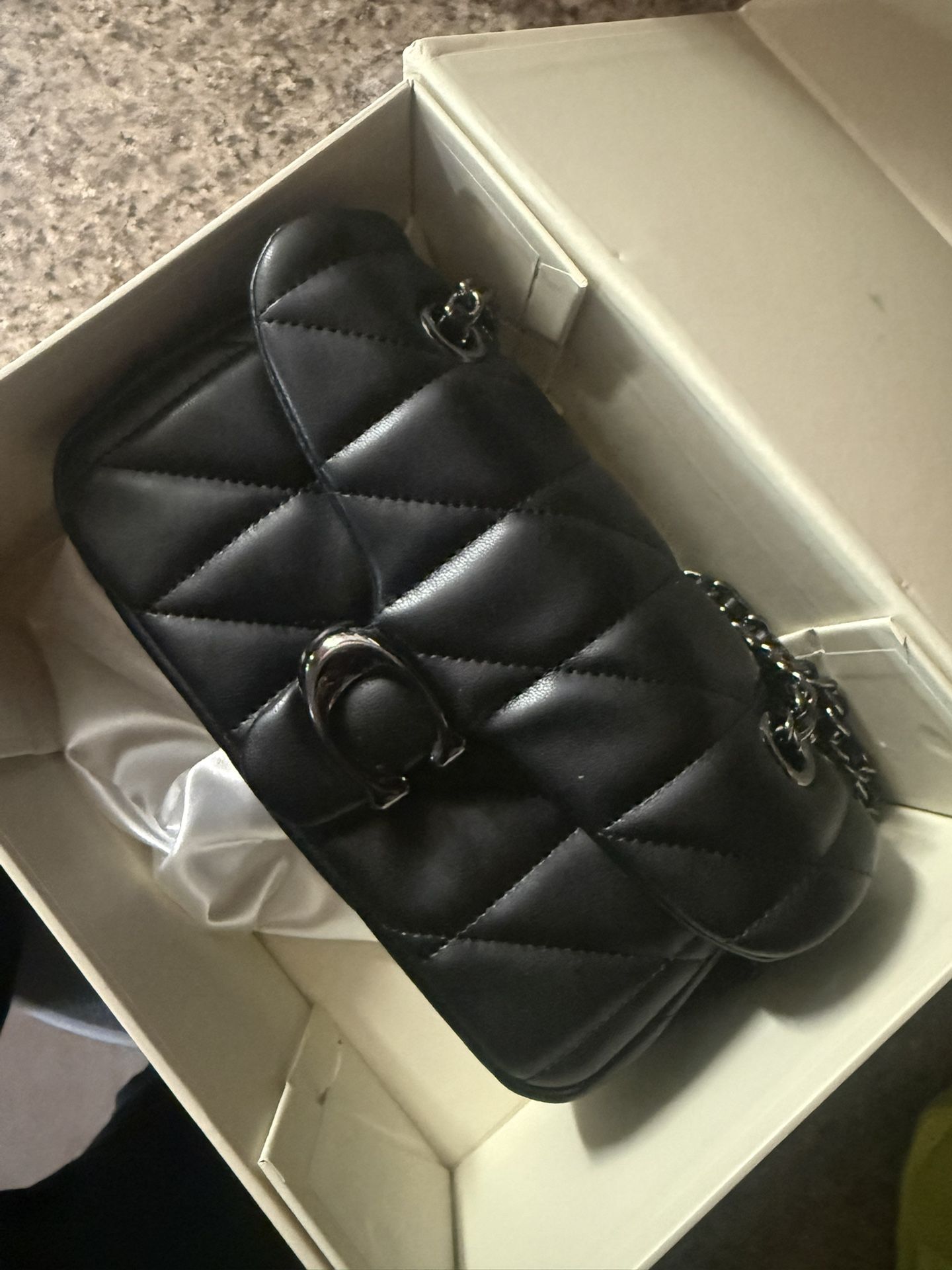 Mini Coach Bag π