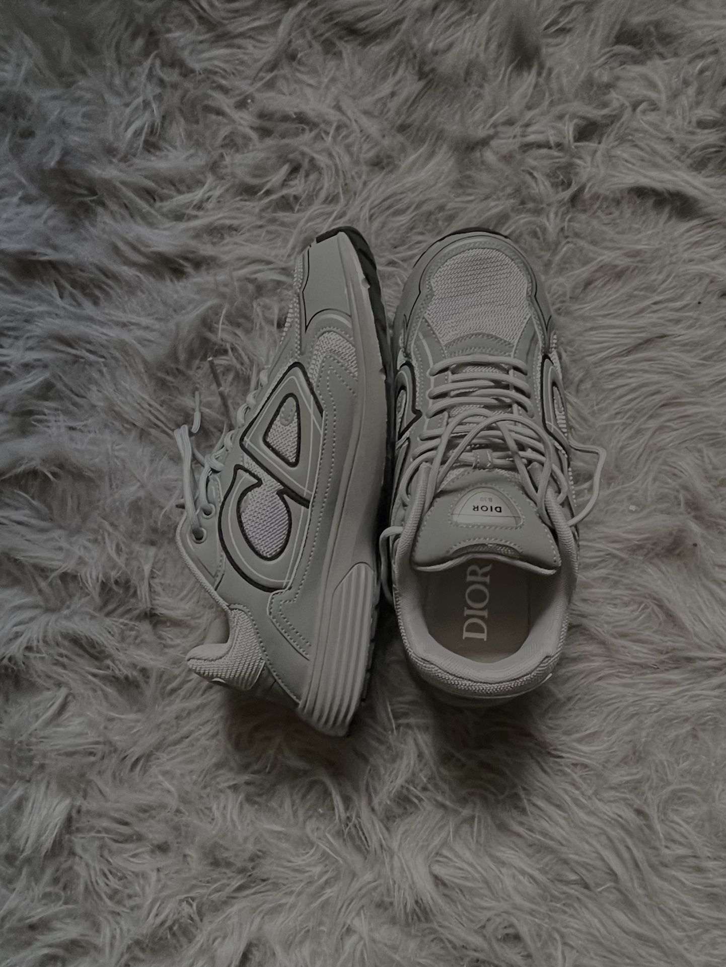 dior b30s matte grey