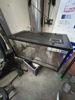 40 gallon tank