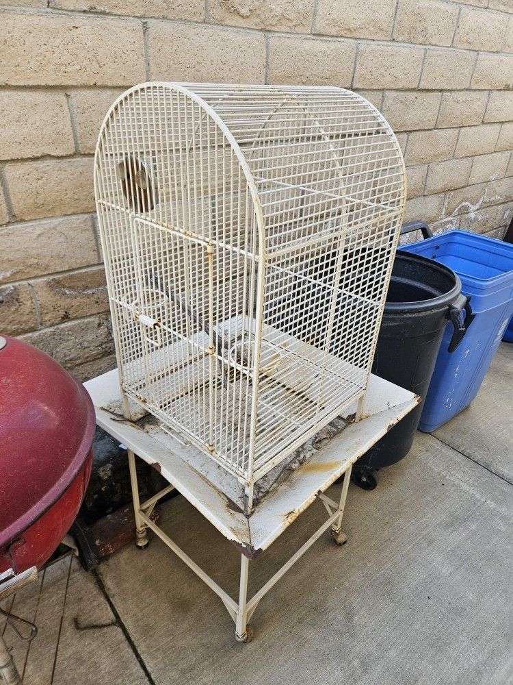 Bird Cage and 4 Parakeets 