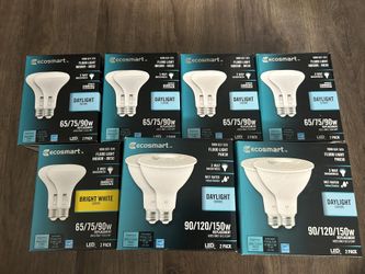 Ecosamrt flood light