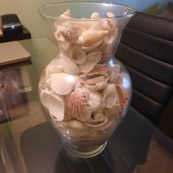 10 " Glass Vase With Over 100, Natural Seashells. 