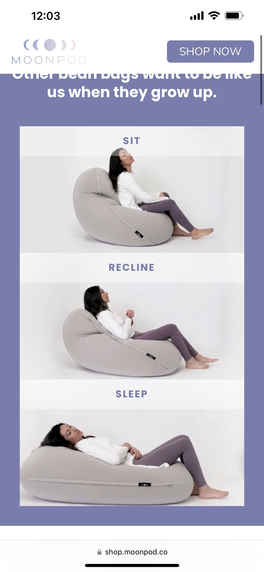 Moon Pod Adult Beanbag Chair, blue– The Zero-Gravity Bean Bag Chair for Stress, Comfort, and All Day Deep Relaxation