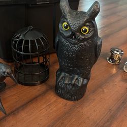 Halloween birds
