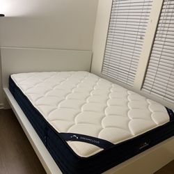 Queen Mattress + Bedframe