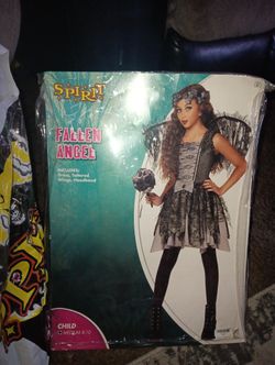 Fallen Angel Costume