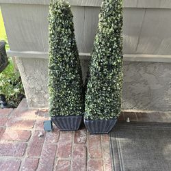 Green Topiaries