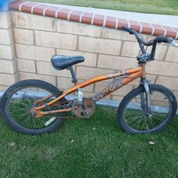 Boys 20 Inch Bike