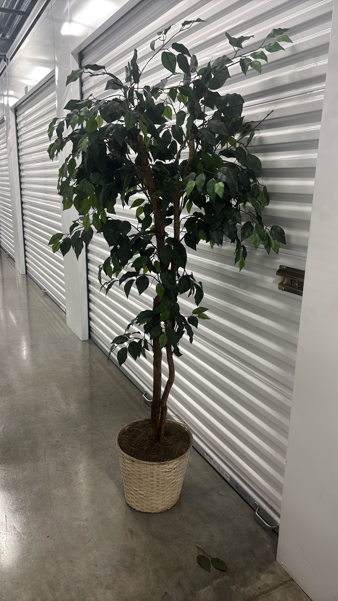 Fake plant 