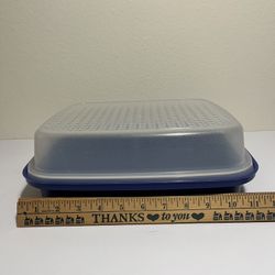 Large 12" Tupperware Double Sided Meat Marinade Storage Container
