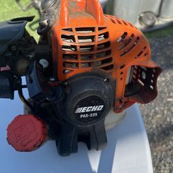 Weed Eater Echo Pas-225