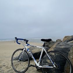 Trek Bike 