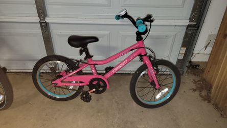 Guardian Kids Bike