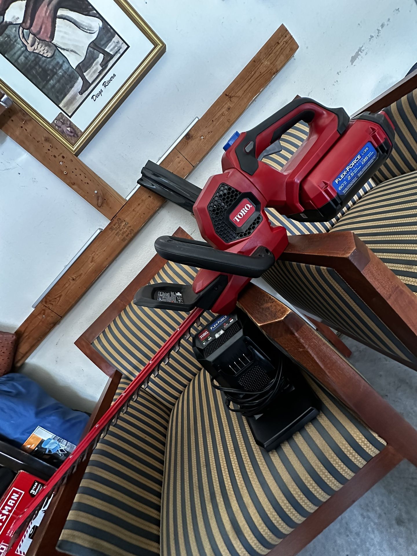 Toro Hedge Trimmer Cordless