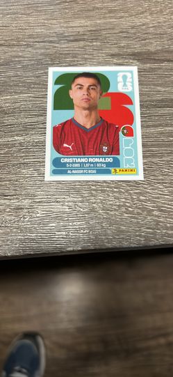 Panini soccer cards
