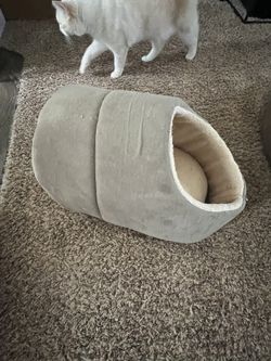 Cat Bed 