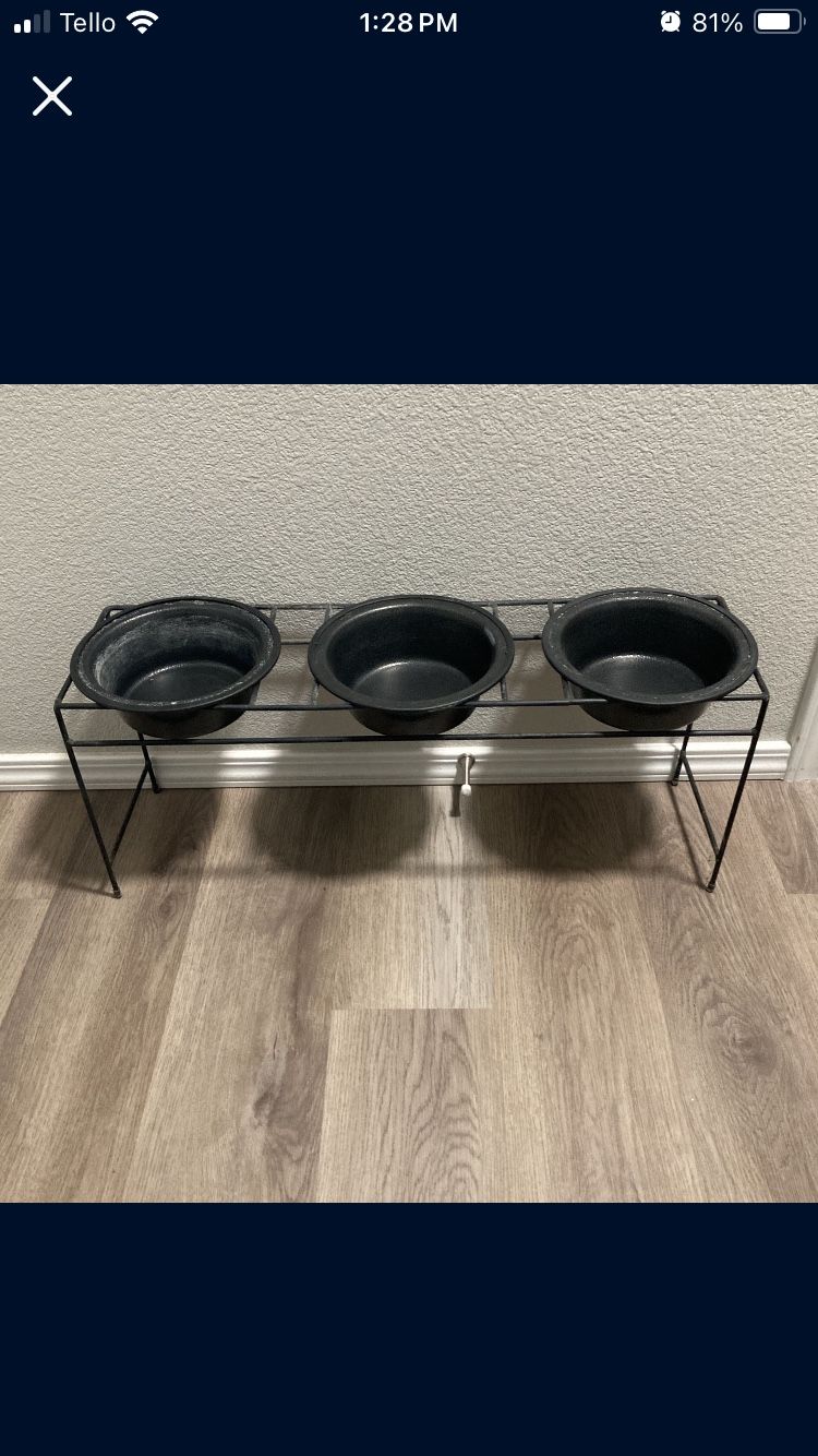 Raised Dog Food/water Bowls