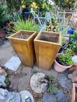 Square Tall Pot $120 each