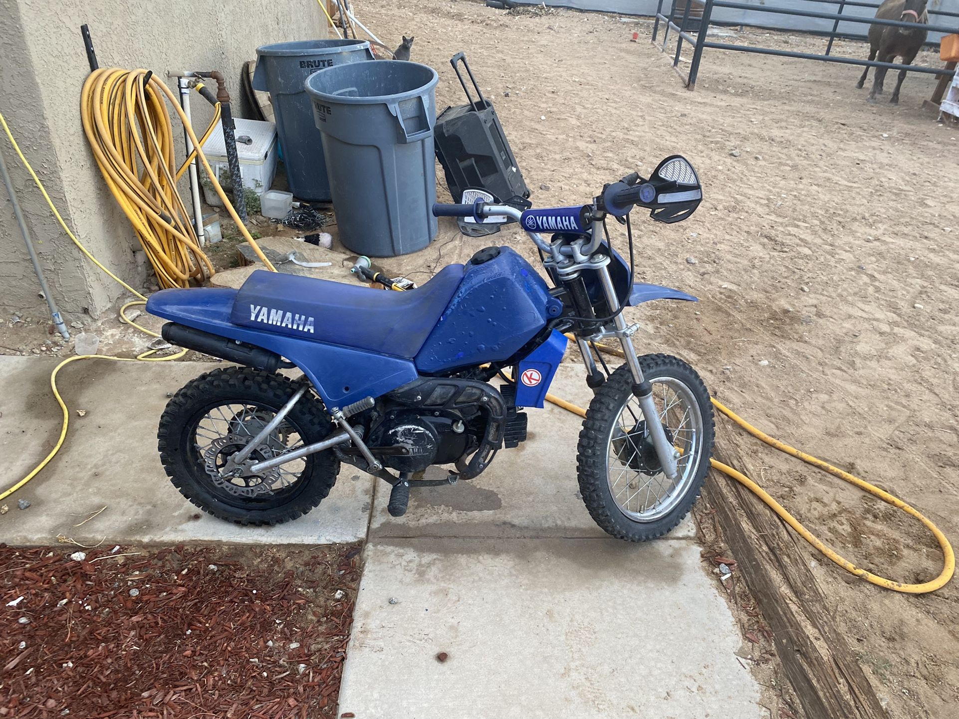 2002 pw80