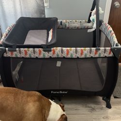 Play Pen 