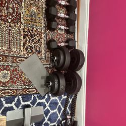 Weight,  Ab Trainer , Bars