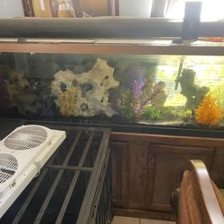 6ft Long Fish Tank 