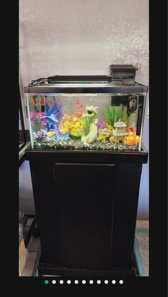 Fresh Water Aquarium $150