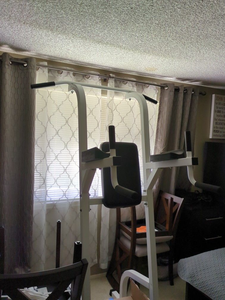 Pull-up/ Dip Bar
