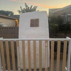 free twin bed