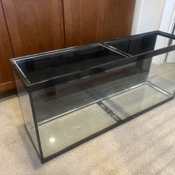 Fish Tank