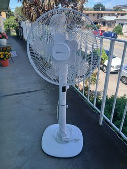 Amazon basics fan