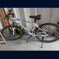 White Mountain Bike