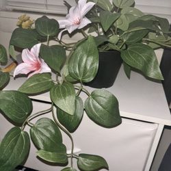 Fake Flower Plant 