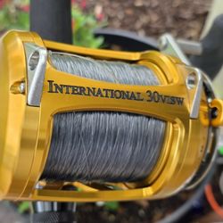 Penn International 30VISW Reel/New Lines/Custom Rod