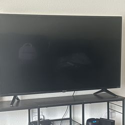 48 Inch Roku Tv
